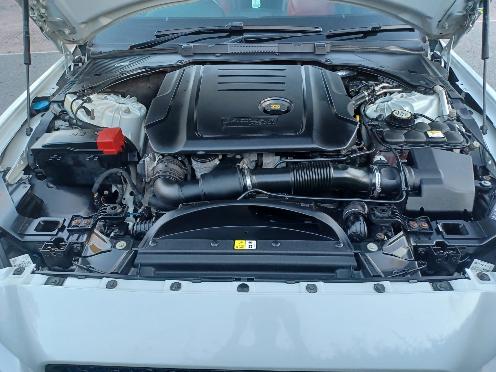 WhatsApp Image 2025-10-03 at 3.35.34 PM (2)