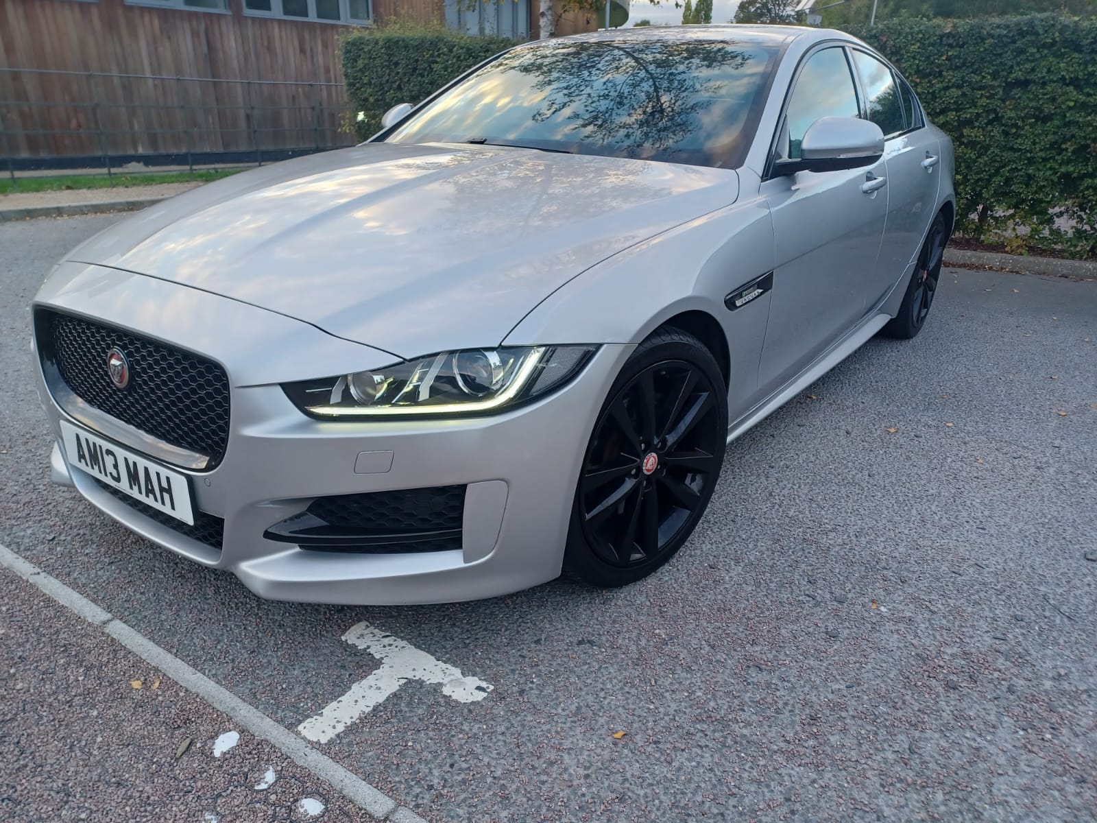 WhatsApp Image 2025-10-08 at 5.55.08 PM (1)